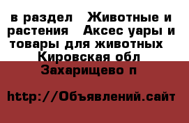  в раздел : Животные и растения » Аксесcуары и товары для животных . Кировская обл.,Захарищево п.